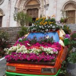 Hotel Fonte Cesia - Todi Fiorita