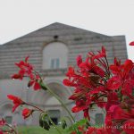 todi fiorita -todi - fiori