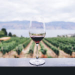 strada-vini-cantico - Cantico Wine Route - umbrian wine