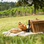 pic-nic umbria