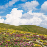 primavera 2022 umbria