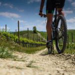 trebbiano gravel 2023