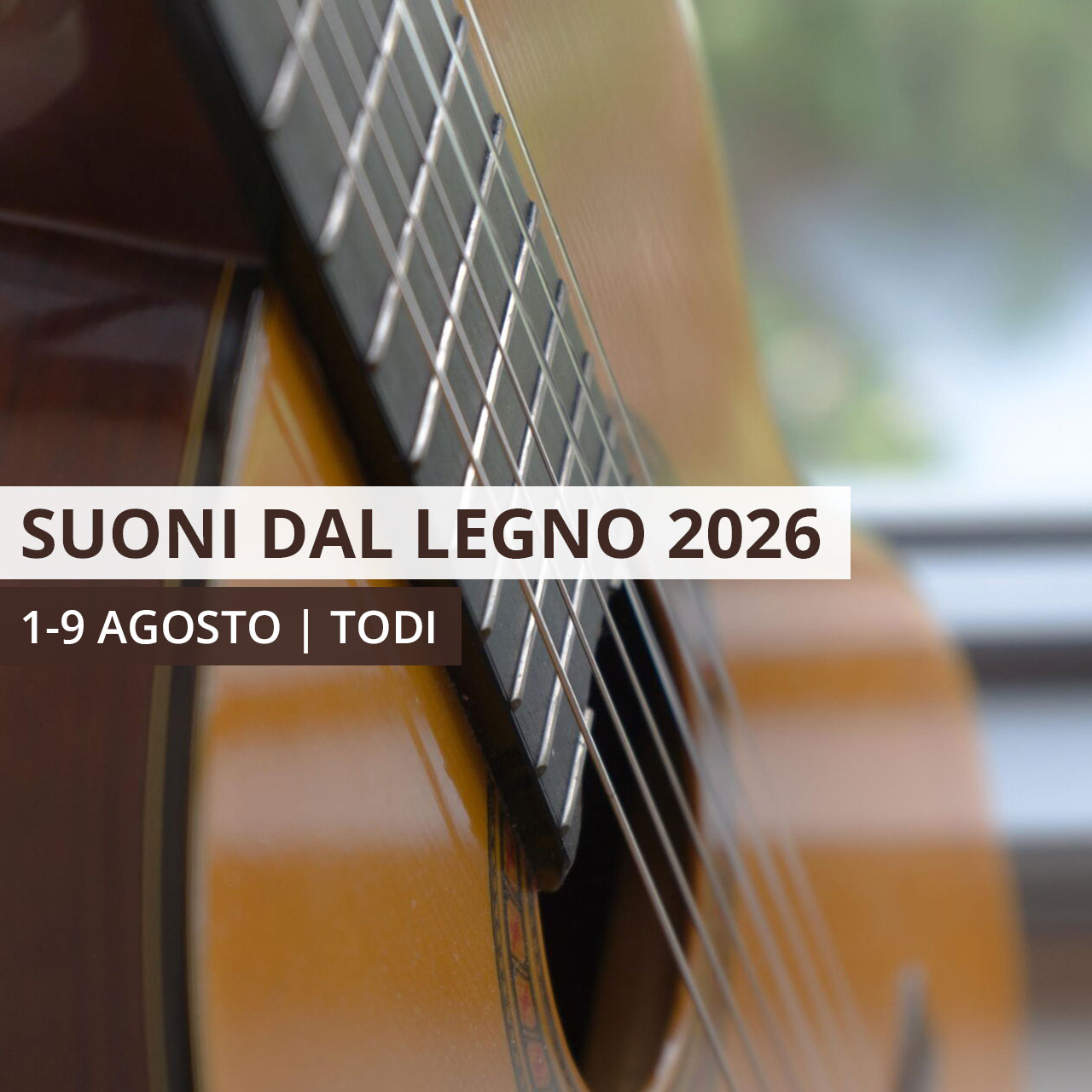 suoni legno todi 2026