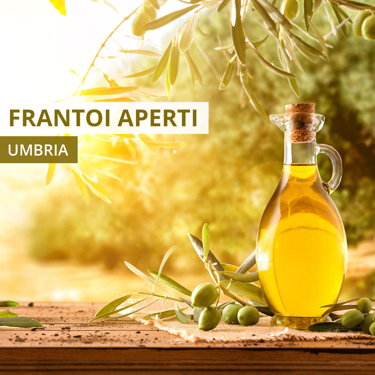 frantoi aperti